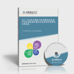 2021-2026年中國電力技術(shù)服務(wù)和咨詢行業(yè)市場供需及重點(diǎn)企業(yè)投資評估研究分析